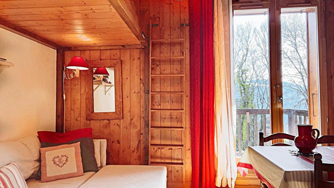 Fizhome Mt Blanc *