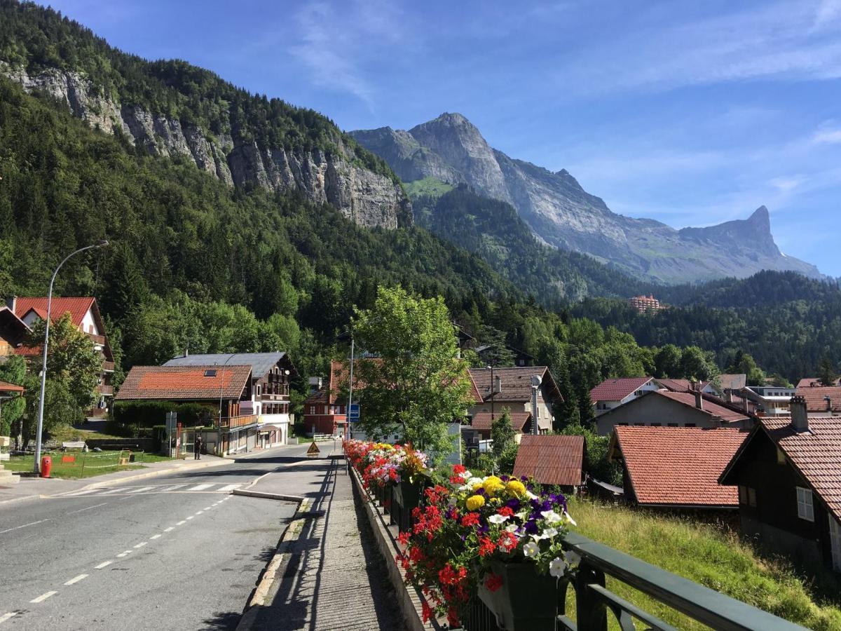 Fizhome Mt Blanc