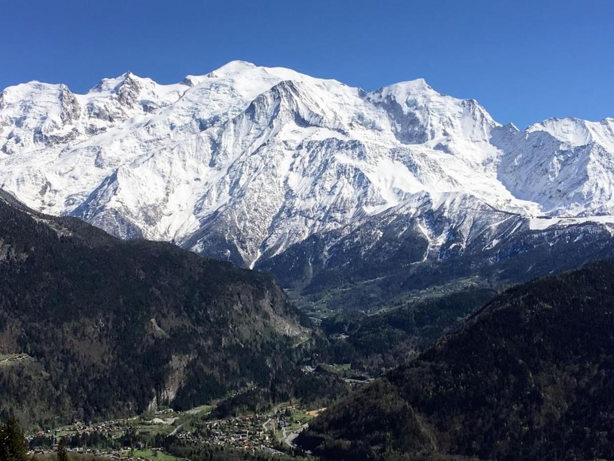 Fizhome Mt Blanc Chalet Passy (Haute-Savoie)