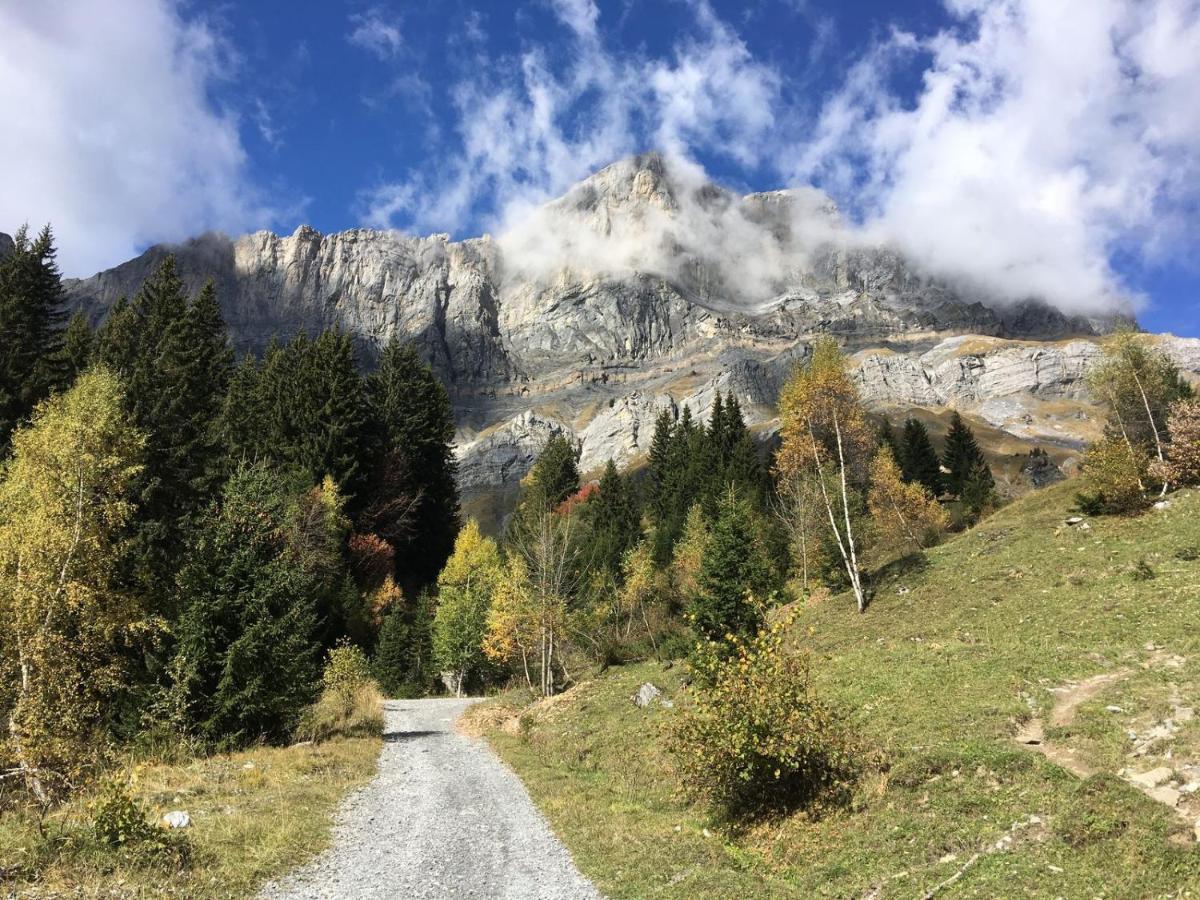 Chalet Fizhome Mt Blanc