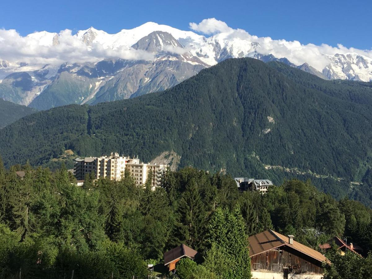 Fizhome Mt Blanc *